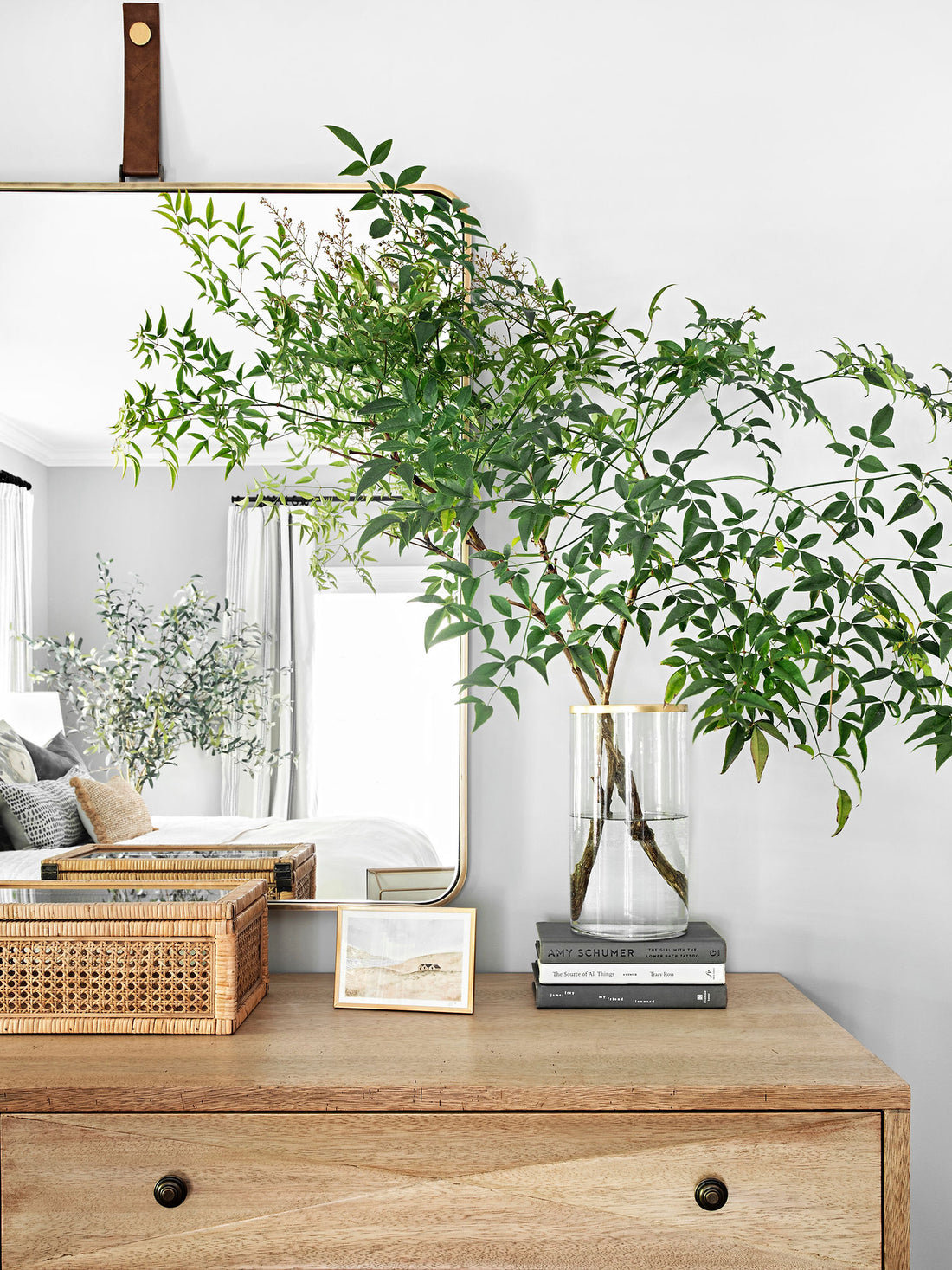 The Healing Power of Plants and Green Spaces in Your Home