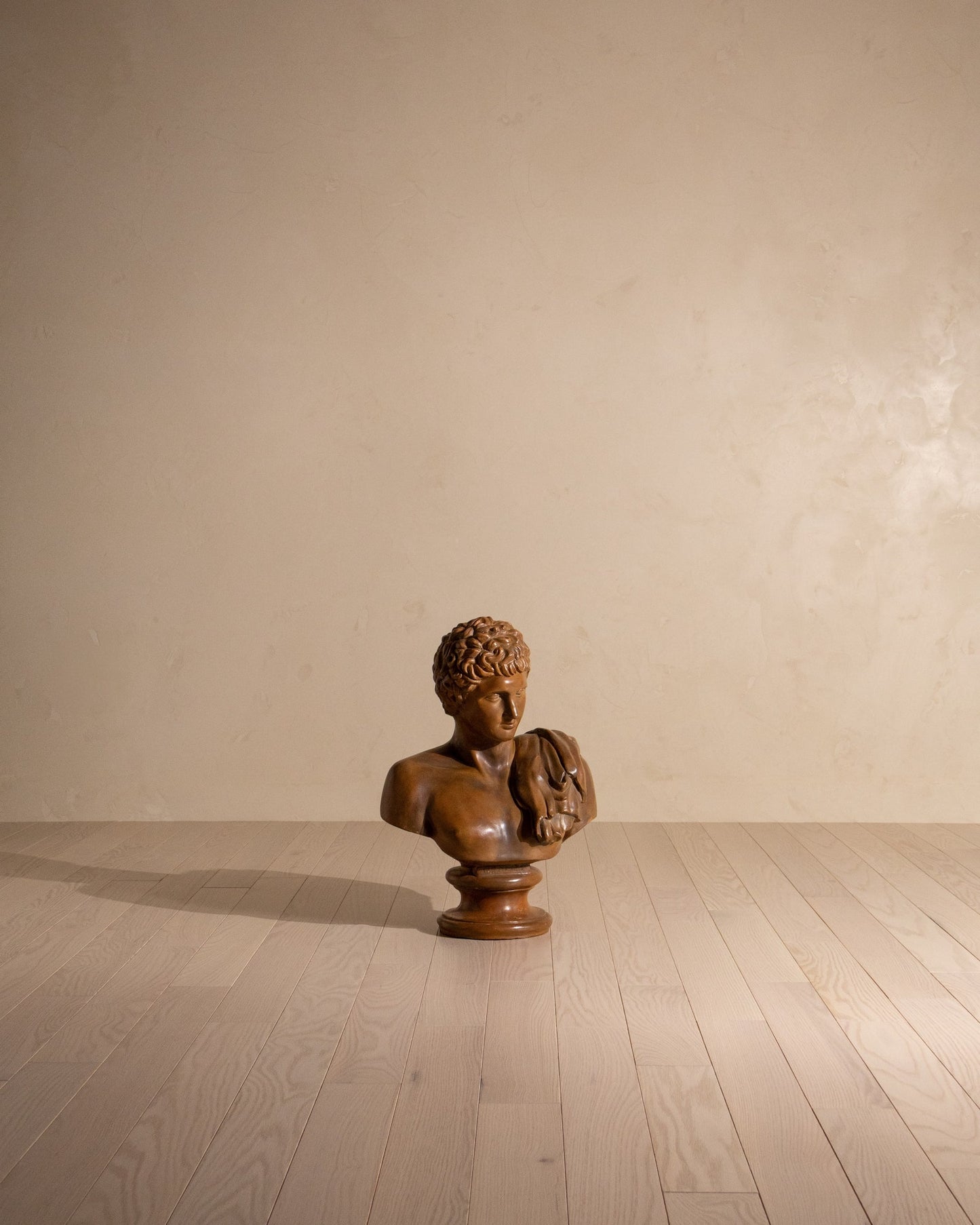 Early 20th Century Terracotta Bust of Hermes
