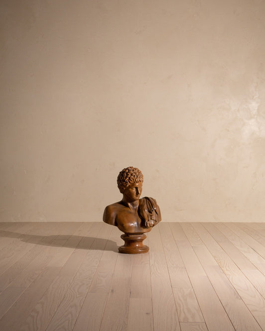 Early 20th Century Terracotta Bust of Hermes