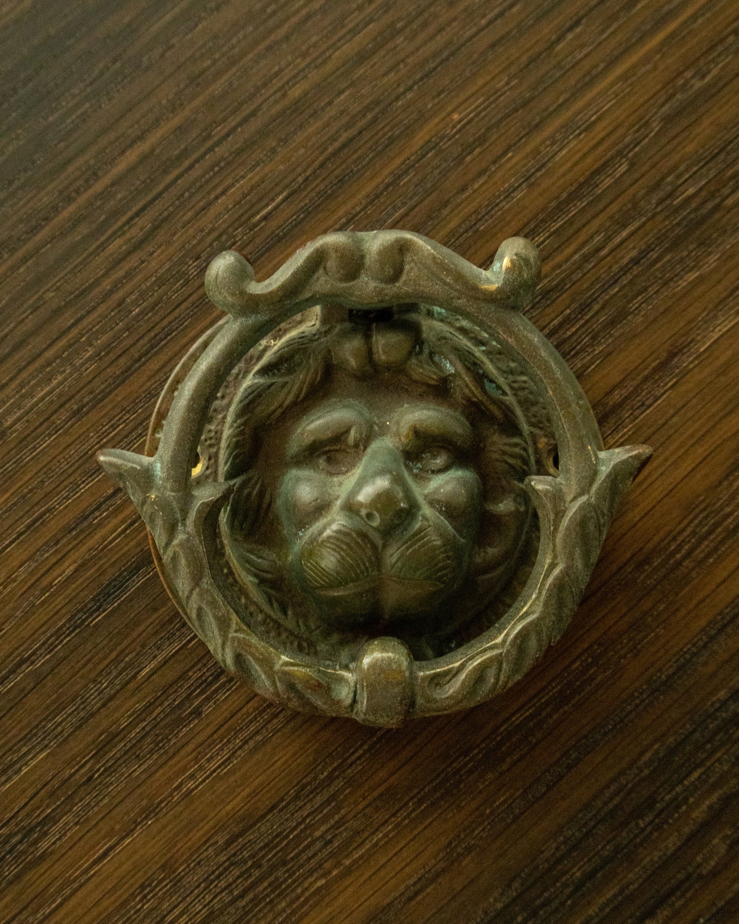 Small Vintage Brass Lion Door Knocker