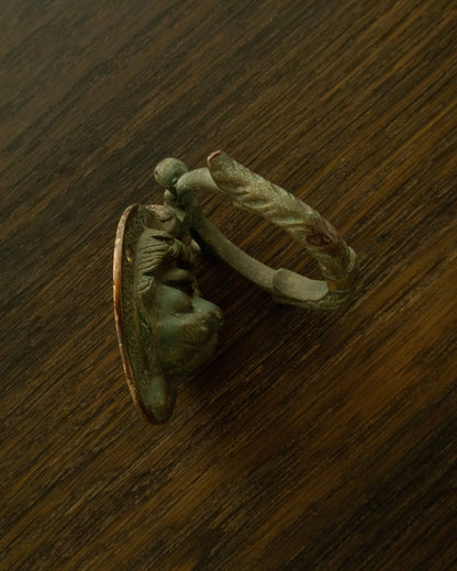 Small Vintage Brass Lion Door Knocker