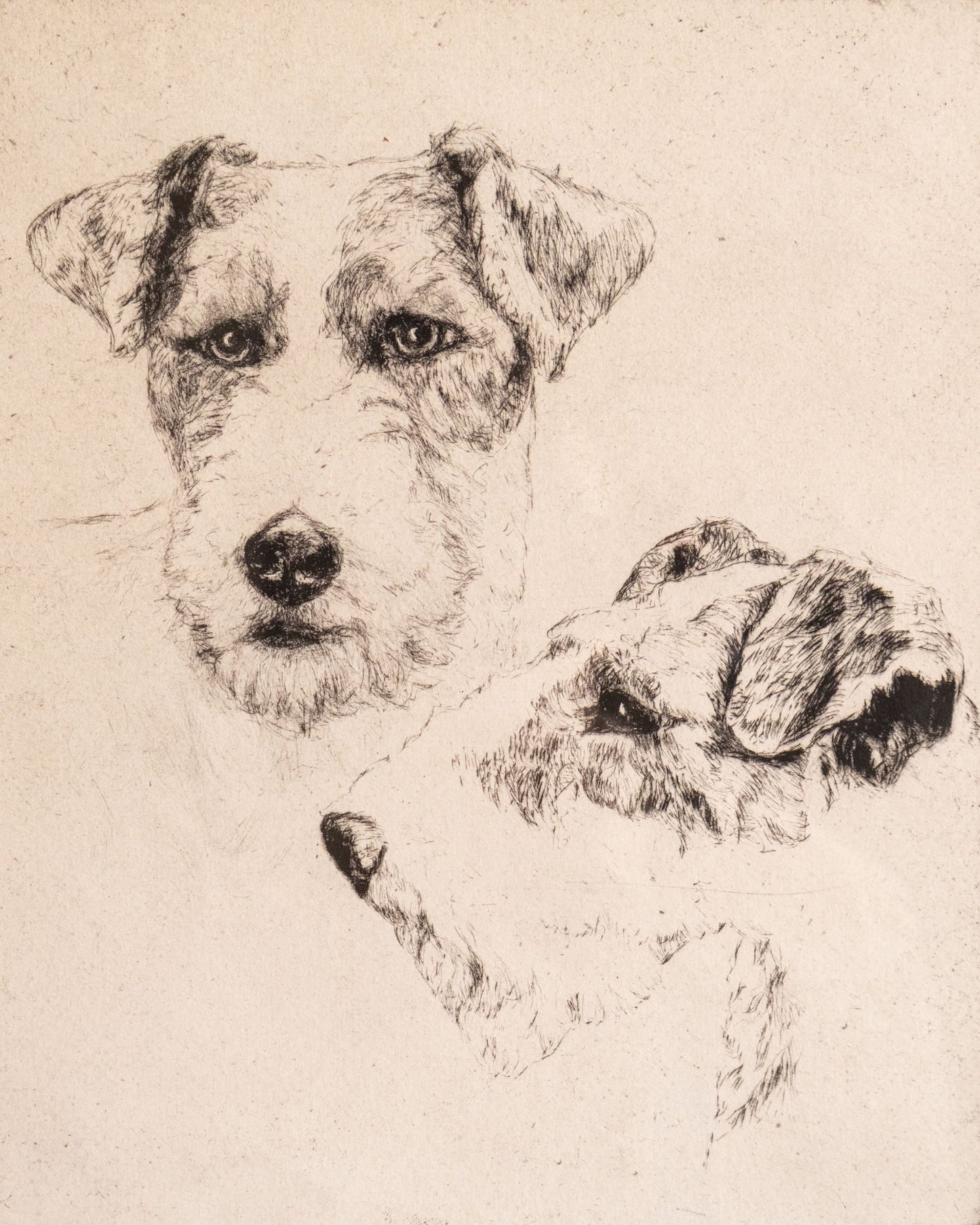 “Live Wires” by Edith Derry Willson