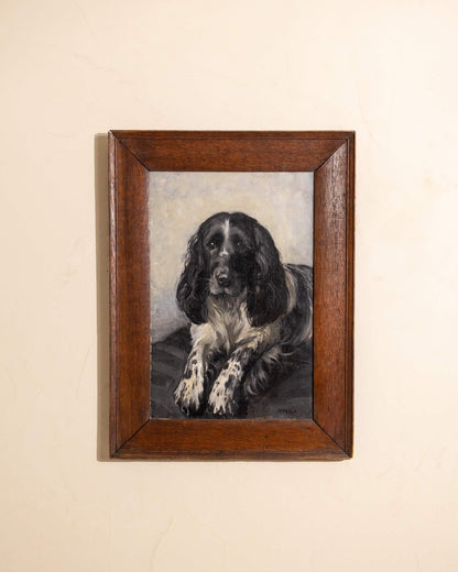 Portrait of a Spaniel by Mabel Rahbula Edwards