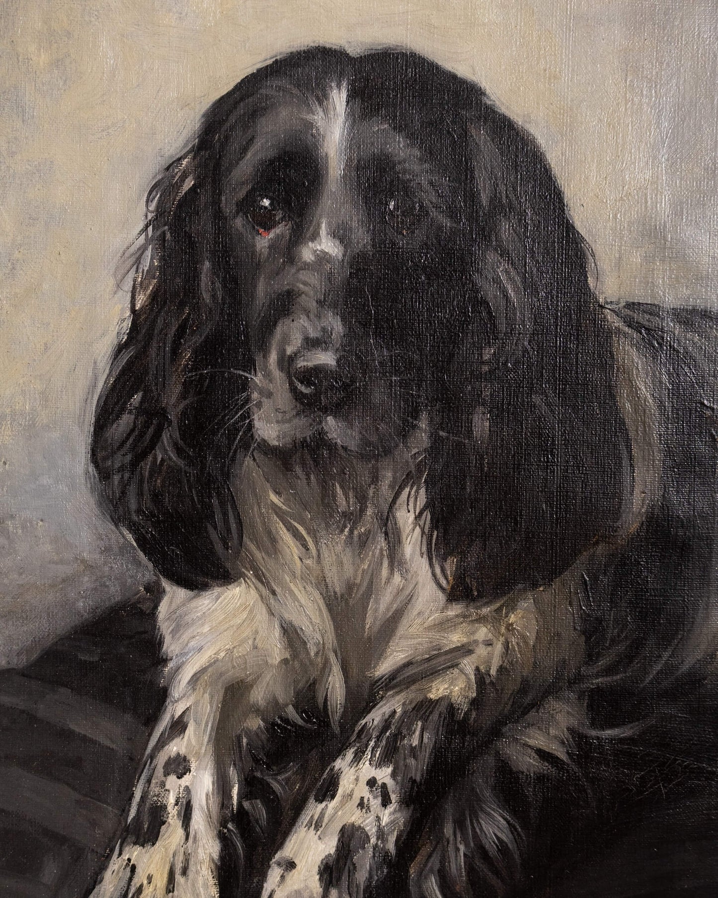 Portrait of a Spaniel by Mabel Rahbula Edwards