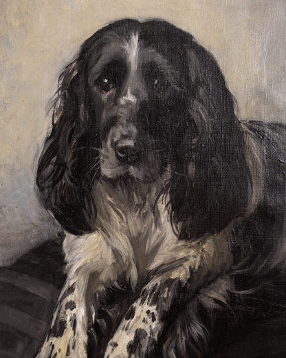 Portrait of a Spaniel by Mabel Rahbula Edwards
