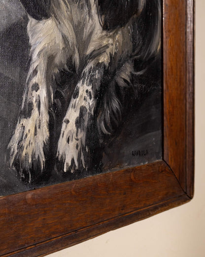 Portrait of a Spaniel by Mabel Rahbula Edwards