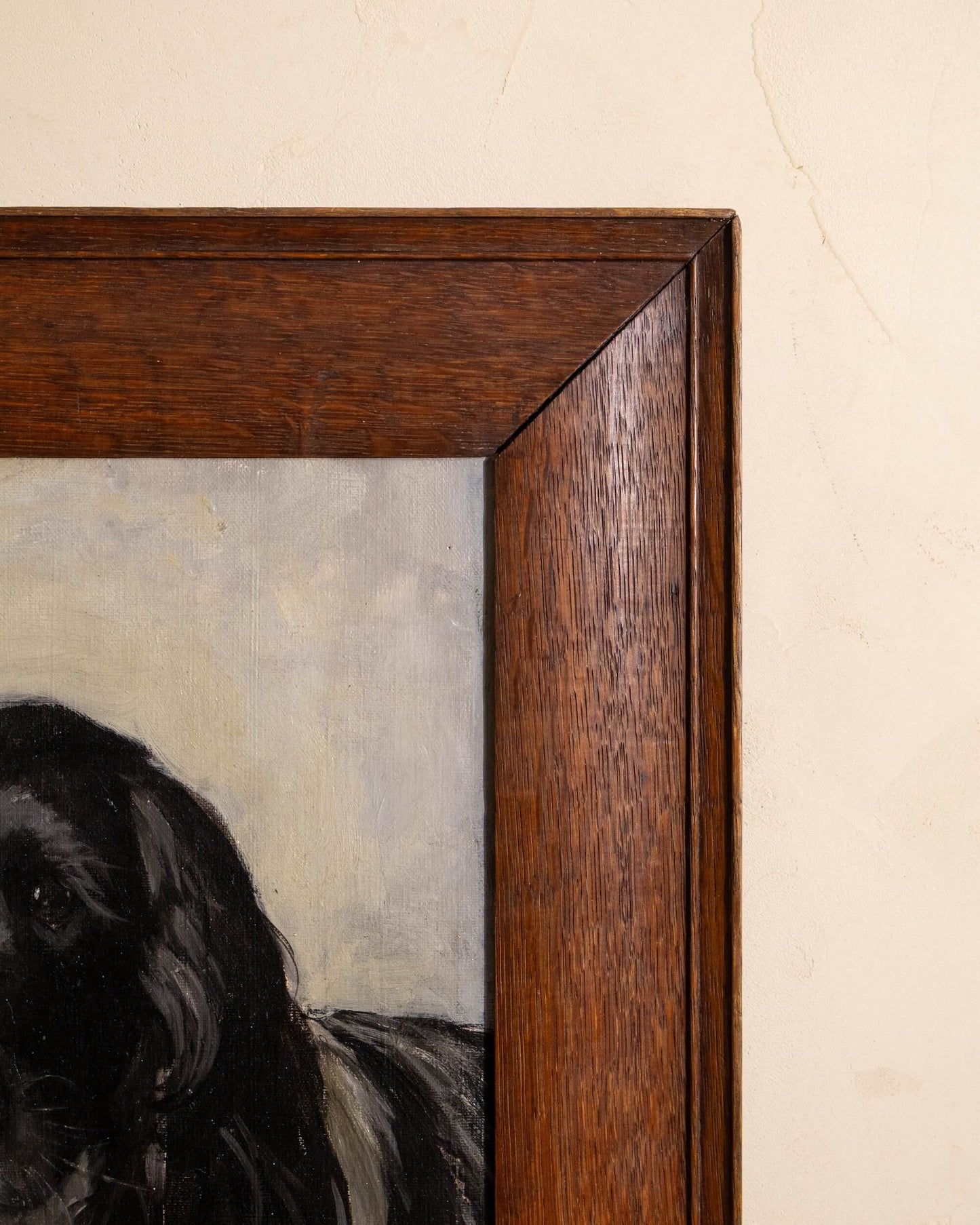 Portrait of a Spaniel by Mabel Rahbula Edwards