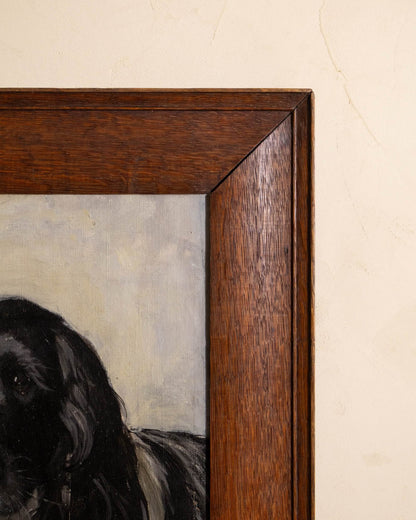 Portrait of a Spaniel by Mabel Rahbula Edwards